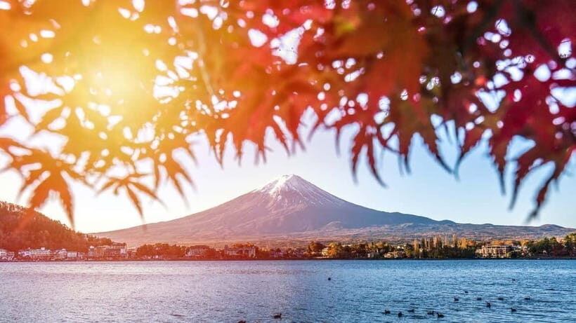From Tokyo: Private Mt. Fuji and Hakone Tour by Car - Lake Yamanaka: Your Best Shot at the Classic Fuji-Reflection Moment