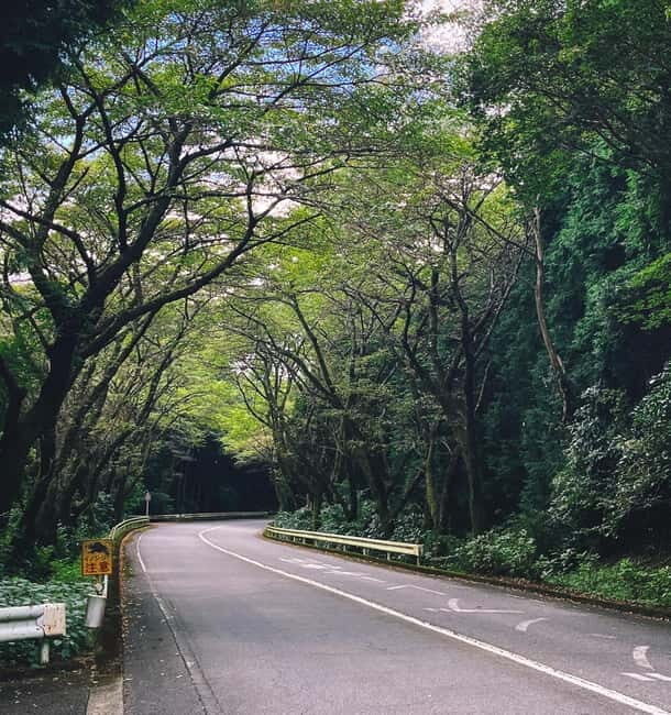 From Tokyo: Private Tour to Fuji/Hakone - Onsen, Art, Nature - Getting out of Tokyo: the van ride isn’t wasted time