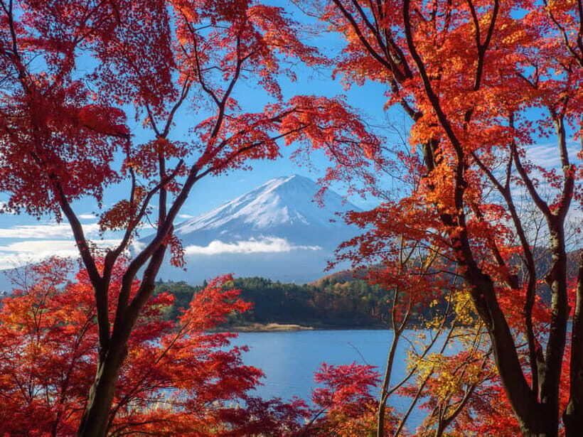 From Tokyo: Private Tour to Fuji/Hakone - Onsen, Art, Nature - Tenzan Onsen: the end-of-day reset that makes it worth it
