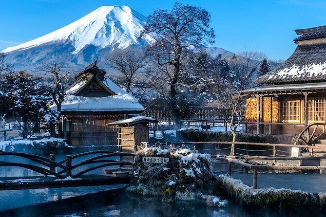 Full Day Private Tour in Mt. Fuji and Hakone - Quick takeaways for your Mt. Fuji and Hakone day