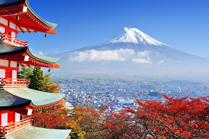 Full Day Private Tour in Mt. Fuji and Hakone - Saiko Iyashi no Sato Nenba: the craft village stop you’ll remember