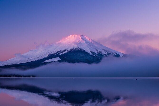 Full Day Private Tour in Mt. Fuji and Hakone - Price and logistics: what you get for about $455 per group