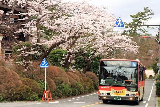 Hakone Free Pass, 2-3 Days Travel Voucher Japan - 2-Day vs 3-Day: how to choose the version that won’t stress you