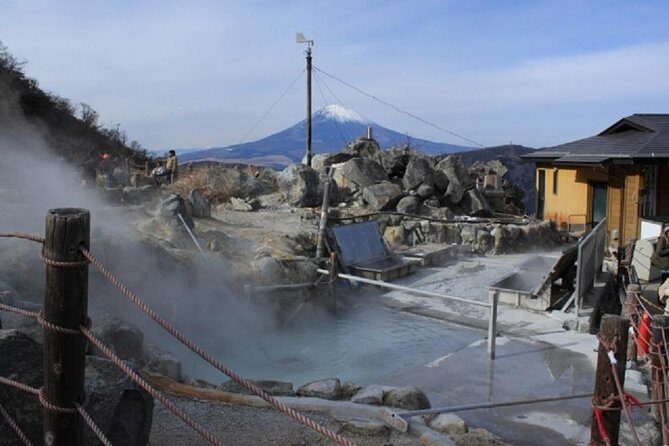 Hakone Full-Day Private Tour By Public Transportation - Stop 3: Owakudani Valley—sulfur steam, and the scale of Hakone’s heat