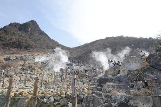 Hakone Full-Day Private Tour(Tokyo DEP.) with Government-Licensed Guide - Choosing 3–4 Hakone Stops Without Wasting Your Day