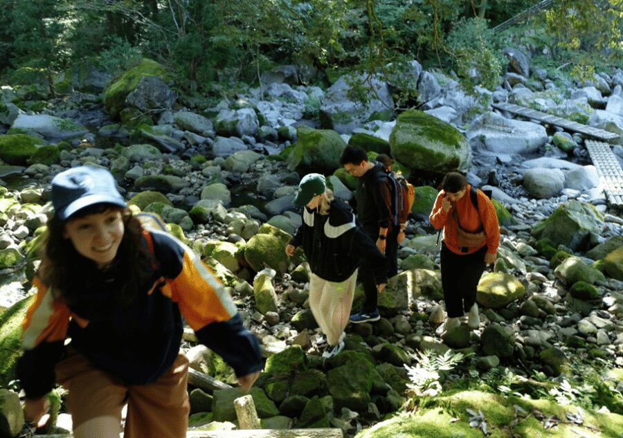 Hakone Hachiri: Old Tokaido Highway Hiking Tour - Key highlights worth caring about