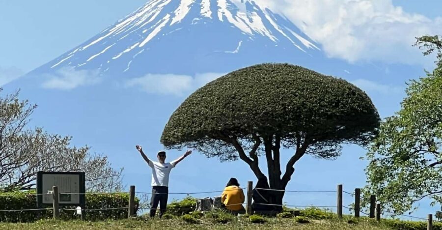 Hakone Hachiri: Old Tokaido Highway Hiking Tour - Hakone Hachiri: walking the old Tokaido, not just seeing it