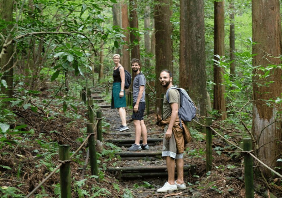 Hakone Hachiri: Old Tokaido Highway Hiking Tour - Sukumo River to Hatajuku: the first taste of Edo travel