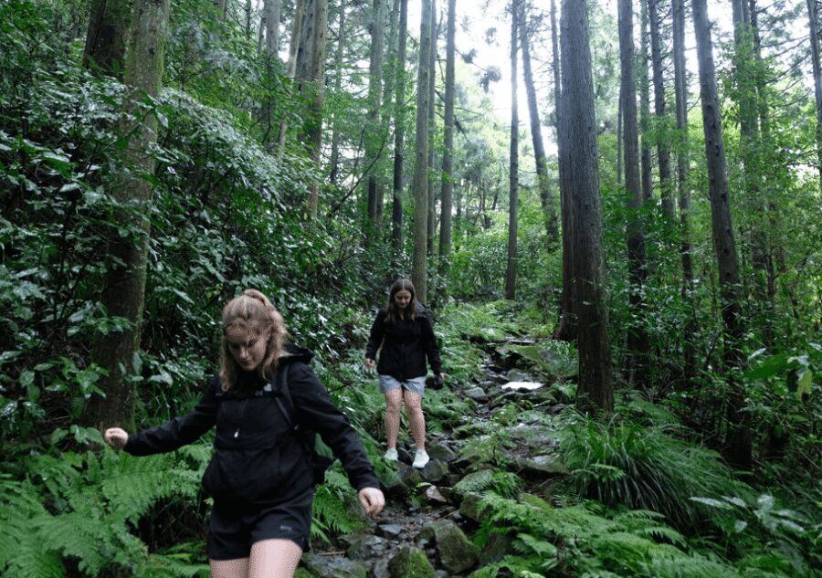 Hakone Hachiri: Old Tokaido Highway Hiking Tour - The 400-year-old Amasake Tea House stop