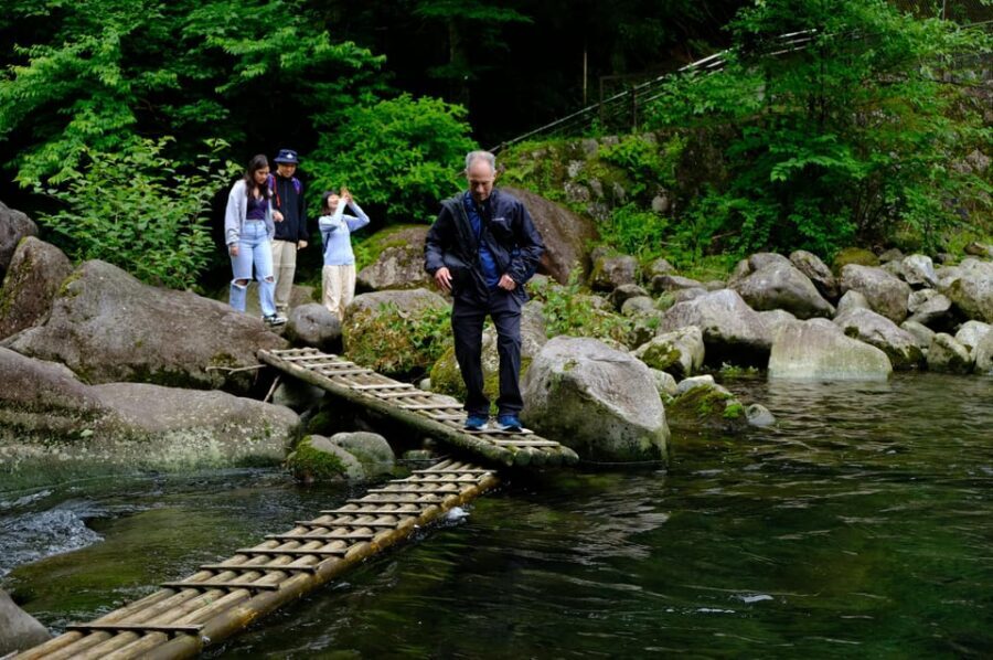 Hakone Hachiri: Old Tokaido Highway Hiking Tour - Cedar Avenue and the Hakone Checkpoint: where the route got serious