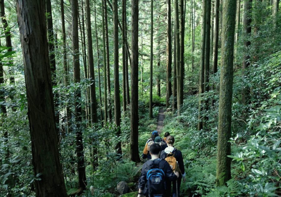 Hakone Hachiri: Old Tokaido Highway Hiking Tour - Finish at Mishima Station: a practical end point for real travel days
