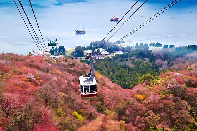 Hakone Private Customized Day Tour - Togendai Station: the functional hub with real snack potential