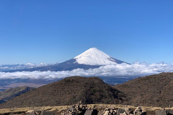Hakone Private One Day Tour From Tokyo: Mt Fuji, Lake Ashi, Hakone National Park - Ōwakudani volcanic valley: sulfur vents and smart timing