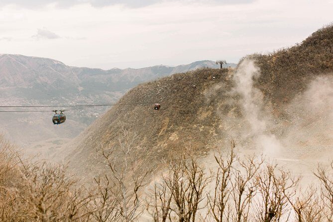 Hakone Private Two Day Tour from Tokyo with Overnight Stay in Ryokan - What You Get (and Don’t) from the Included Plan