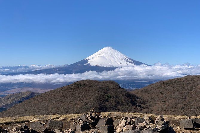Hakone Private Two Day Tour from Tokyo with Overnight Stay in Ryokan - Who This Tour Fits Best
