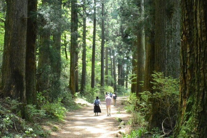 Hike Hakone Hachiri - Meet-up and pacing: a full 9-hour day, starting at Mishima Station