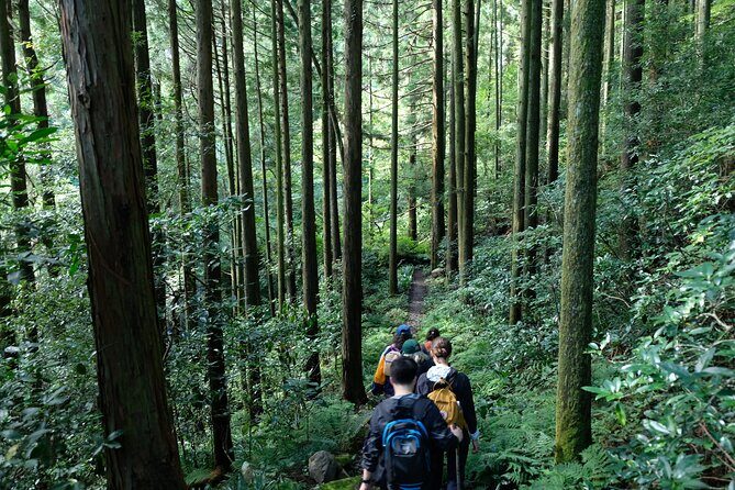 Hike Japan Heritage Hakone Hachiri (Half Day) - Price and Value: What $114.95 Buys You