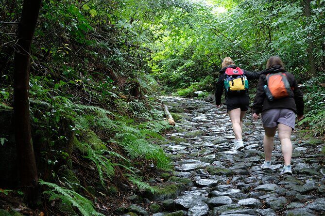 Hike Japan Heritage Hakone Hachiri (Half Day) - Logistics That Matter: Pace, Group Size, and Weather