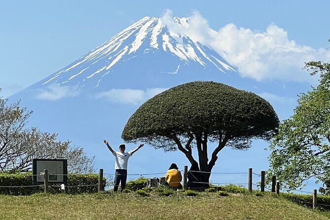 Hike Japan Heritage Hakone Hachiri with certified mountain guide - Key highlights worth knowing