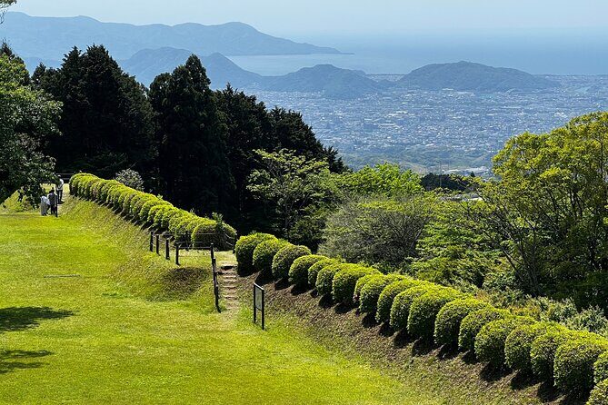 Hike Japan Heritage Hakone Hachiri with certified mountain guide - Cedar Trees and the Hakone Checkpoint: the route’s real purpose