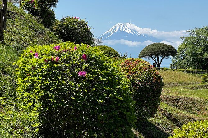Hike Japan Heritage Hakone Hachiri with certified mountain guide - Hakone-machi lunch and skipping a temporarily closed section