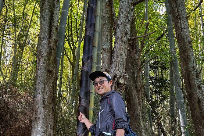 Hike Japan Heritage Hakone Hachiri with certified mountain guide - Yamanaka Castle Ruins: where weather can reward your effort
