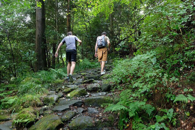 Hike Japan Heritage Hakone Hachiri with certified mountain guide - Mishima finish: Mishima Taisha, Genba River, and getting home