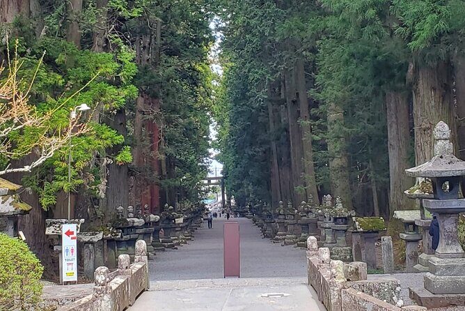 Majestic Mt. Fuji & Hakone Retreat –A Private Day Tour from Tokyo - Tokyo pickup and the private ride that makes this work