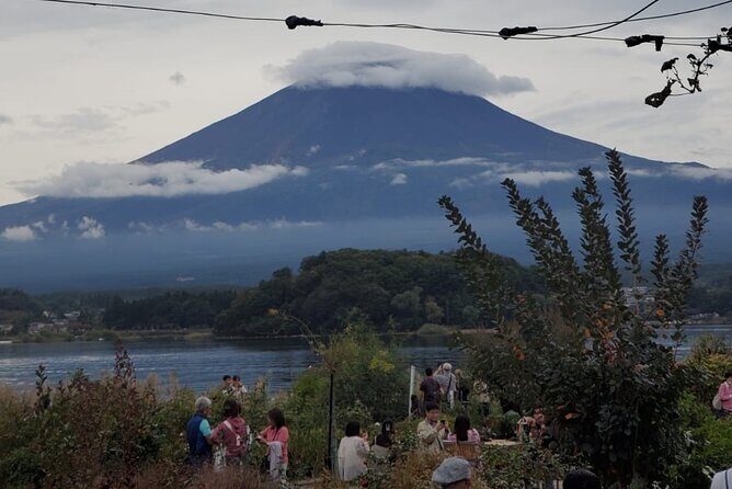 Majestic Mt. Fuji & Hakone Retreat –A Private Day Tour from Tokyo - Why the guide and timing matter on this kind of day