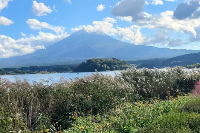 Majestic Mt. Fuji & Hakone Retreat –A Private Day Tour from Tokyo - Who this private tour suits best