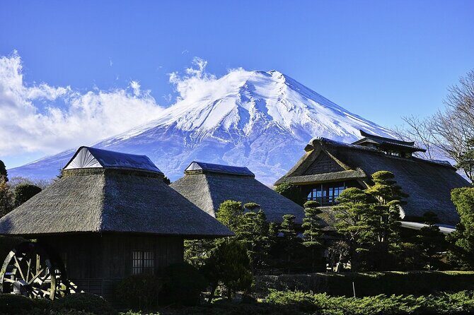Majestic Mt. Fuji & Hakone Retreat –A Private Day Tour from Tokyo - Chureito Pagoda and Arakura Fuji Sengen Shrine: your Fuji-view payoff