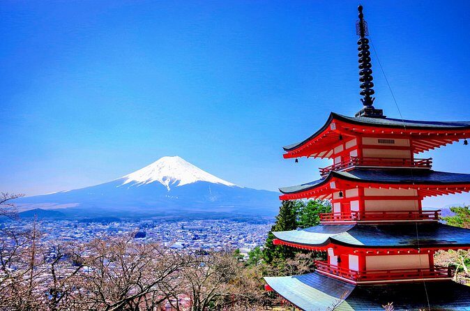 Mount fuji and Hakone Full day private sightseeing tour - Saiko Iyashi no Sato Nemba: The Old-Style Thatched-Roof Village