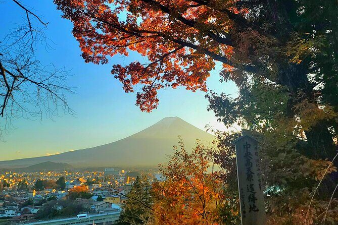 Mount fuji and Hakone Full day private sightseeing tour - Hakone Jinja’s Torii on Lake Ashi and Owakudani’s Black-Egg Volcano Stop