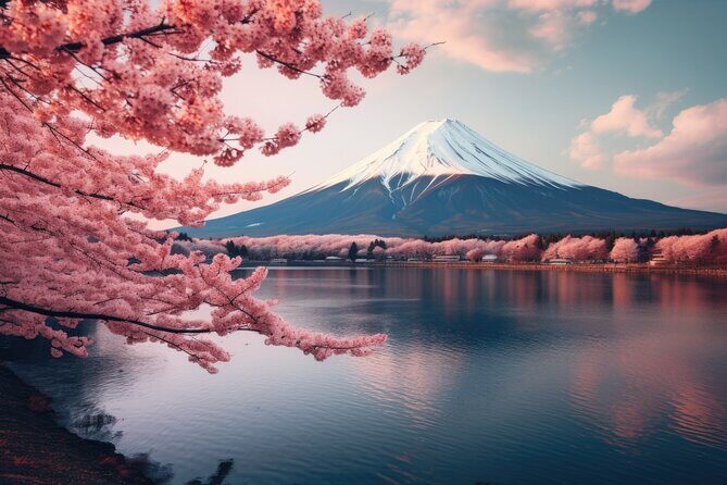 Mount fuji and Hakone Full day private sightseeing tour - Private Pickup and an English-Speaking Guide (What You Gain)
