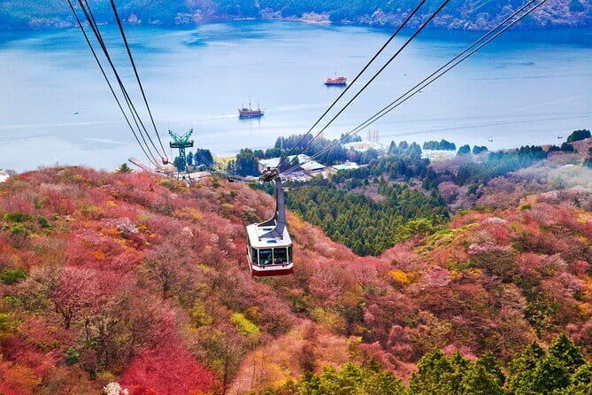 Mount Fuji and Hakone Private Day Trip by Car/Van - in English - Oshino Hakkai ponds: a calm break with great photo potential