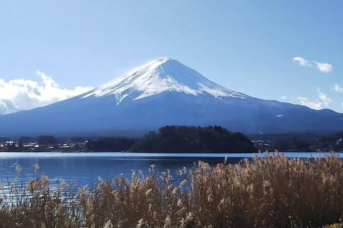 Mount Fuji and Hakone Private Day Trip by Car/Van - in English - Optional Mount Fuji 5th Station: the altitude moment (if you request it)