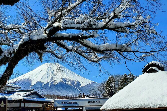 Mount Fuji and Hakone Private Tour from Tokyo (Customizable) - Key things I’d plan around before you go