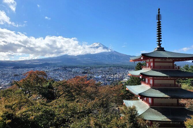 Mount Fuji and Hakone Private Tour from Tokyo (Customizable) - How the private Mt Fuji and Hakone day plan works from Tokyo