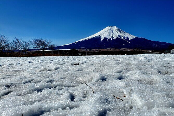 Mount Fuji and Hakone Private Tour from Tokyo (Customizable) - Private guide vs driver-only: how to get real value from the guide