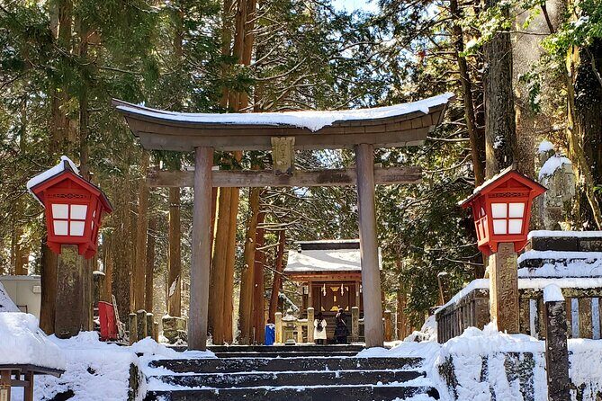 Mount Fuji and Hakone Private Tour from Tokyo (Customizable) - Timing, weather, and the Mt Fuji problem you can’t fully beat