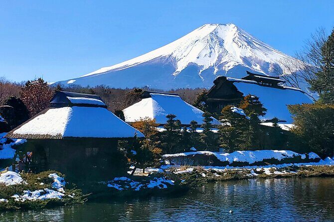 Mount Fuji and Hakone Private Tour from Tokyo (Customizable) - Morning viewpoint power: Chureito Pagoda and Fuji Sengen Shrine
