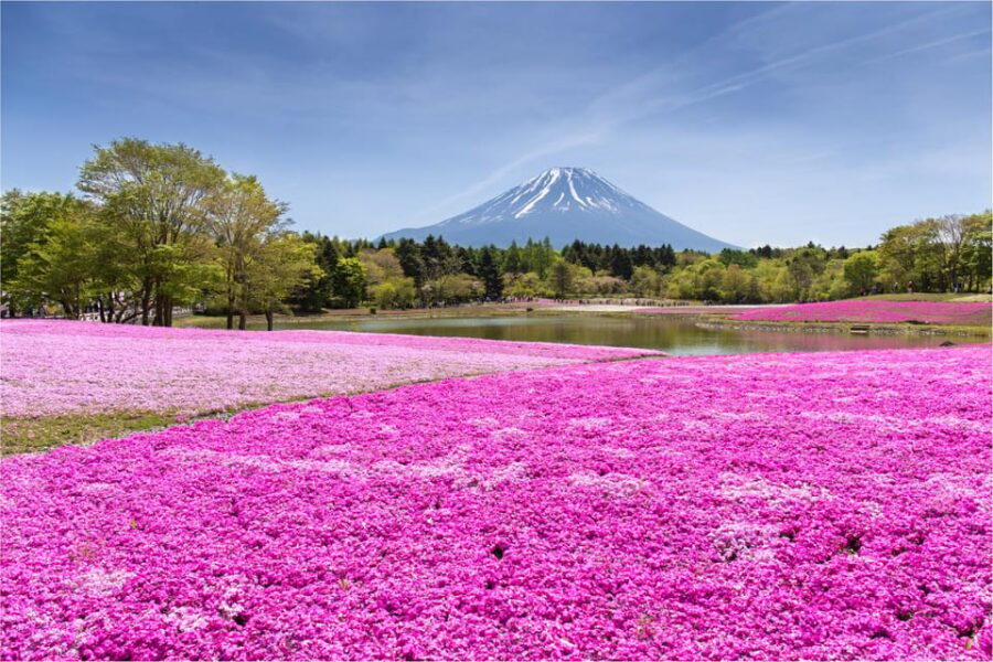 Mount Fuji and Hakone Tour with Personal Driver & Transport - Key highlights that shape your day