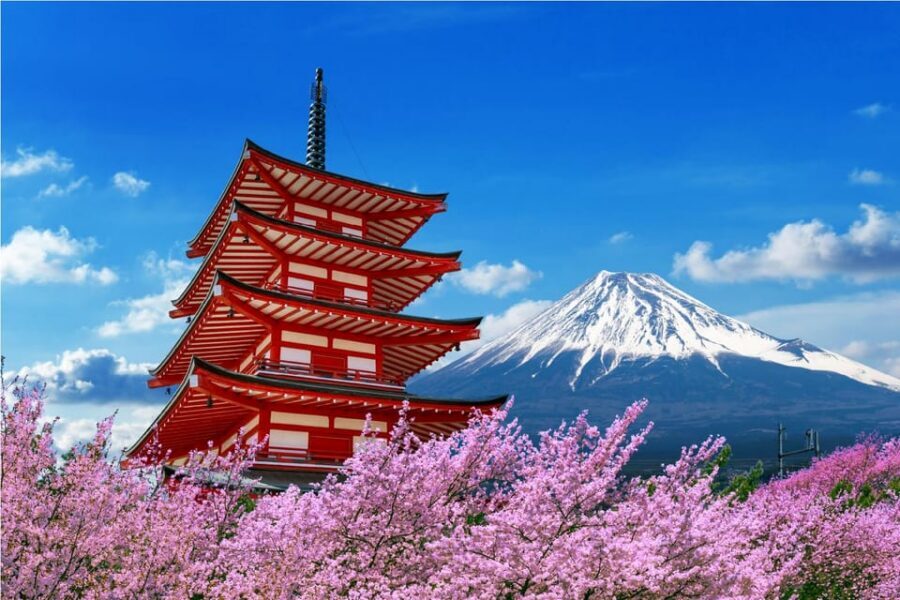 Mount Fuji and Hakone Tour with Personal Driver & Transport - Arakura Fuji Sengen Shrine: the shrine stairs view