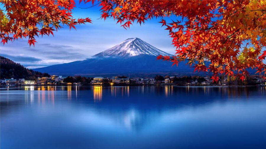 Mount Fuji and Hakone Tour with Personal Driver & Transport - Price and what you’re really paying for (private transport)