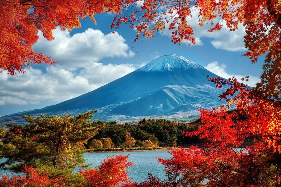Mount Fuji and Hakone Tour with Personal Driver & Transport - Pickup, van comfort, and the driver’s on-the-road tips