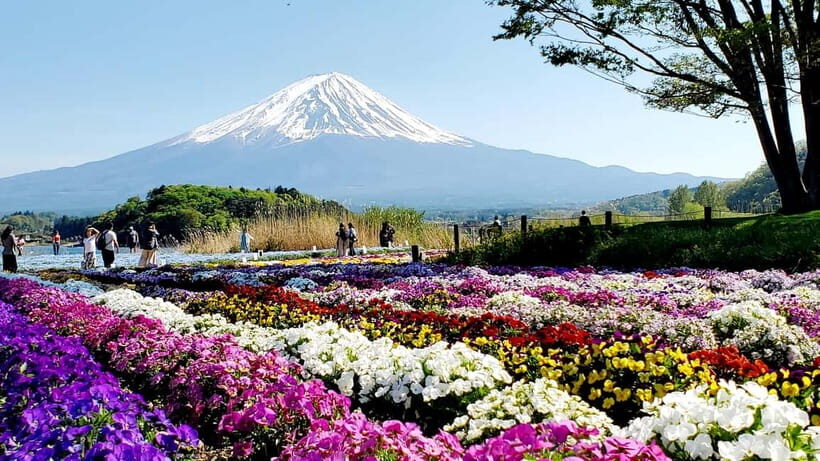 Mount Fuji & Hakone Full-Day Private Tour (Customizable) - Key Highlights Worth Getting Up For