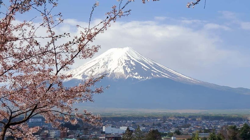 Mount Fuji & Hakone Full-Day Private Tour (Customizable) - A Private 10-Hour Fuji and Hakone Plan From Tokyo