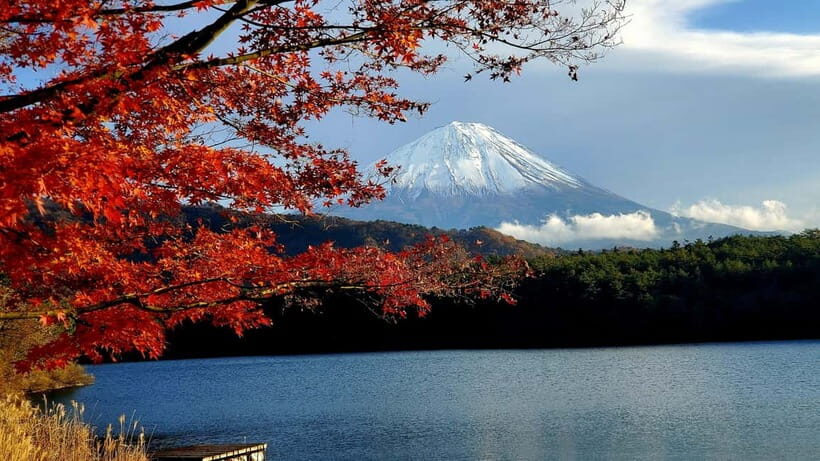Mount Fuji & Hakone Full-Day Private Tour (Customizable) - Kitaguchi-Hongu Fuji Sengen Shrine for Calm Culture (and Better Context)