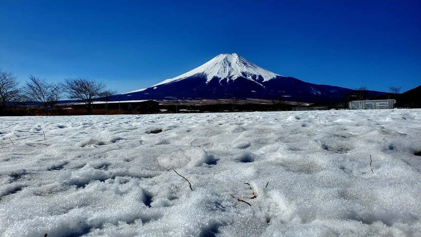 Mount Fuji & Hakone Full-Day Private Tour (Customizable) - Hakone Ropeway: The Gondola Ride That Shows You the Big Picture