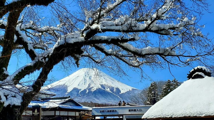 Mount Fuji & Hakone Full-Day Private Tour (Customizable) - Lake Ashi and the Pirate Ship: Your Best Bet for Fuji Reflections